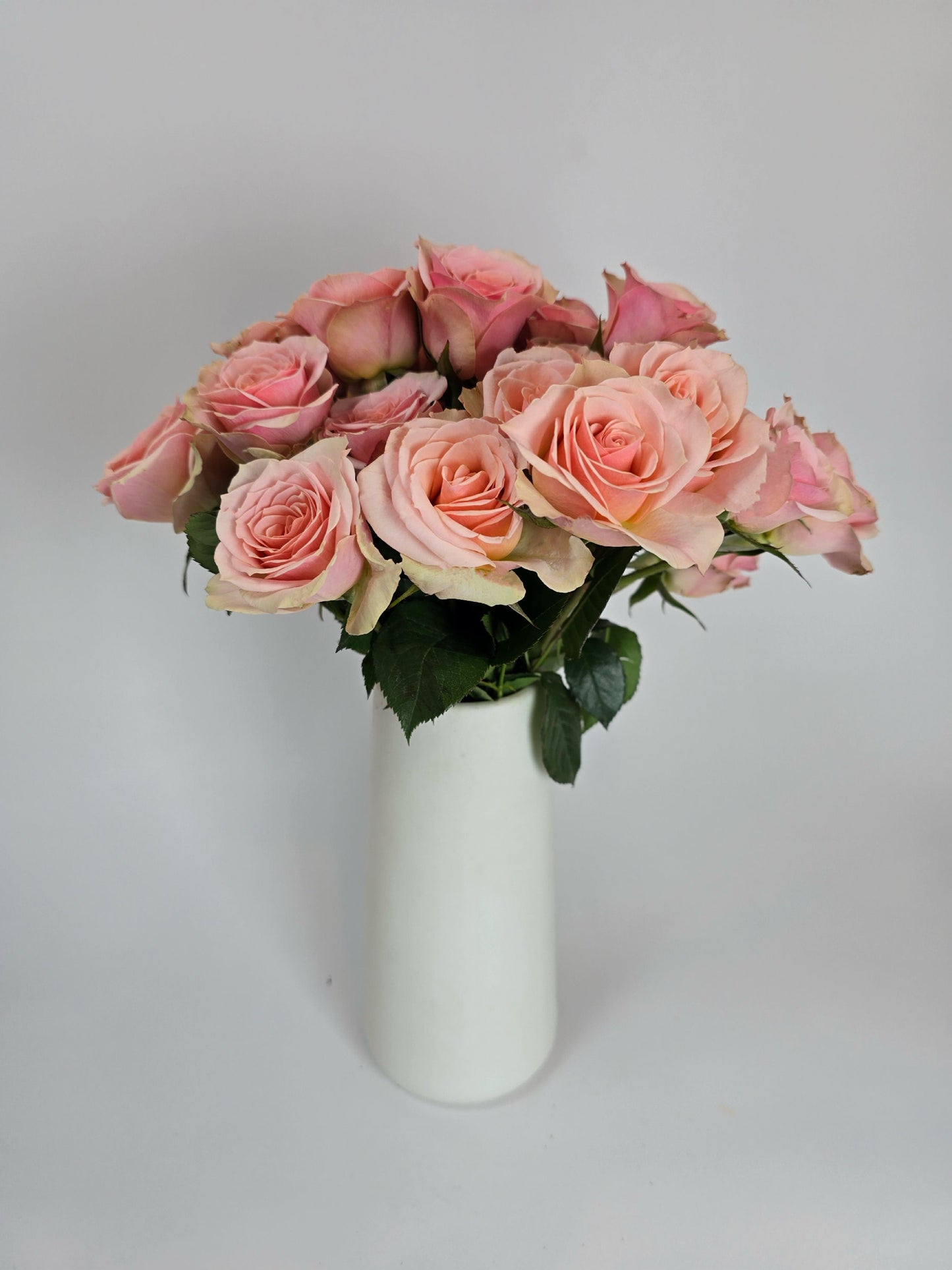 Peachy Pink Spray Rose