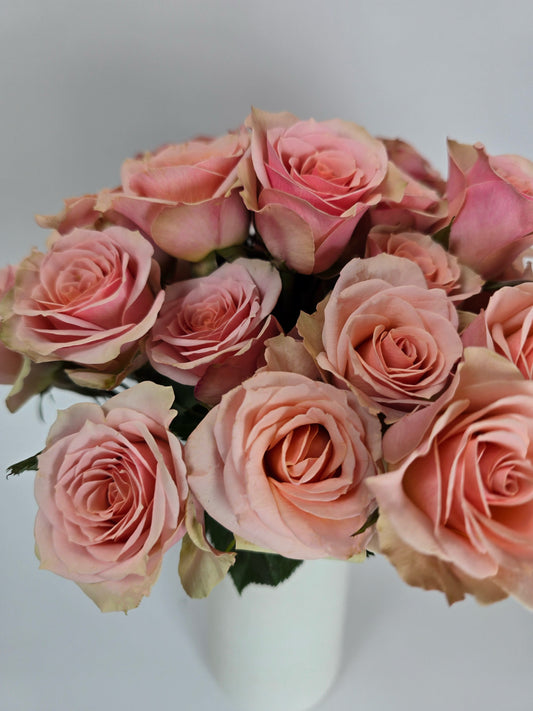 Peachy Pink Spray Rose