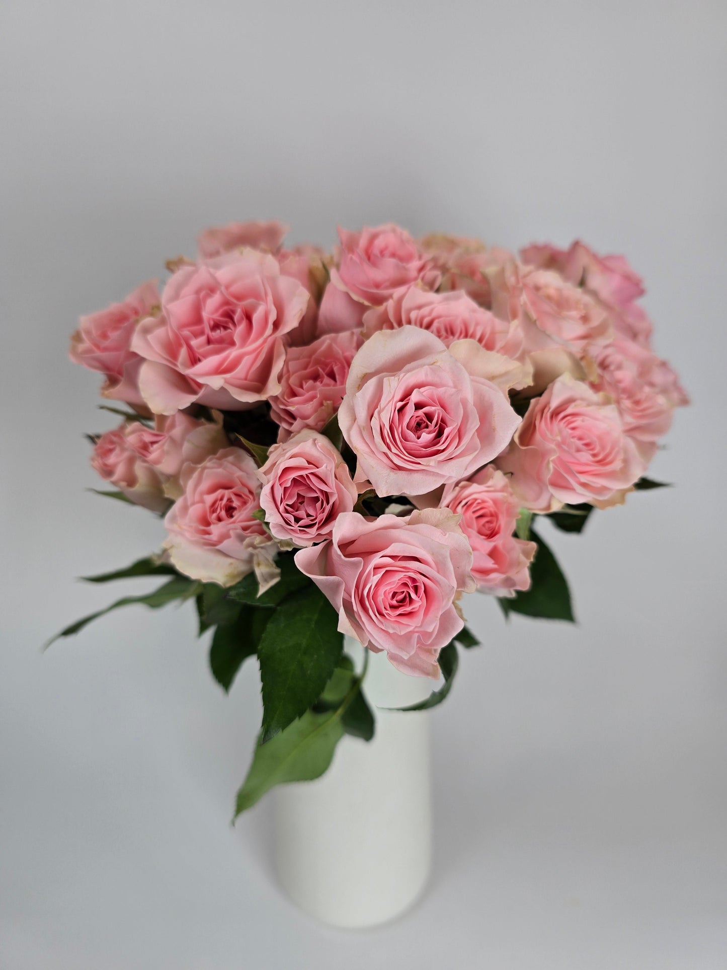 Light Pink Spray Rose