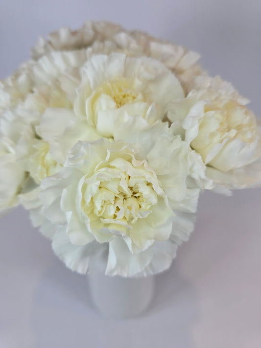 White Carnation