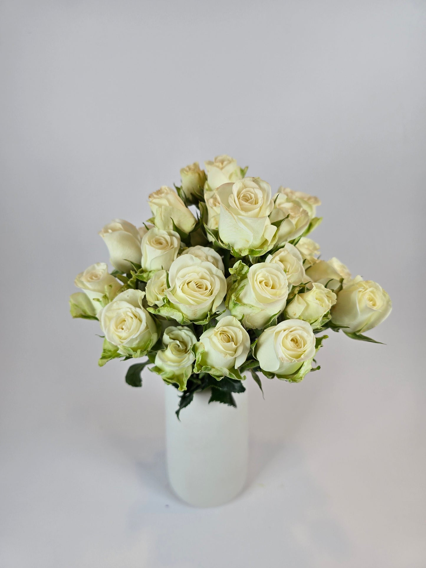 White Spray Rose