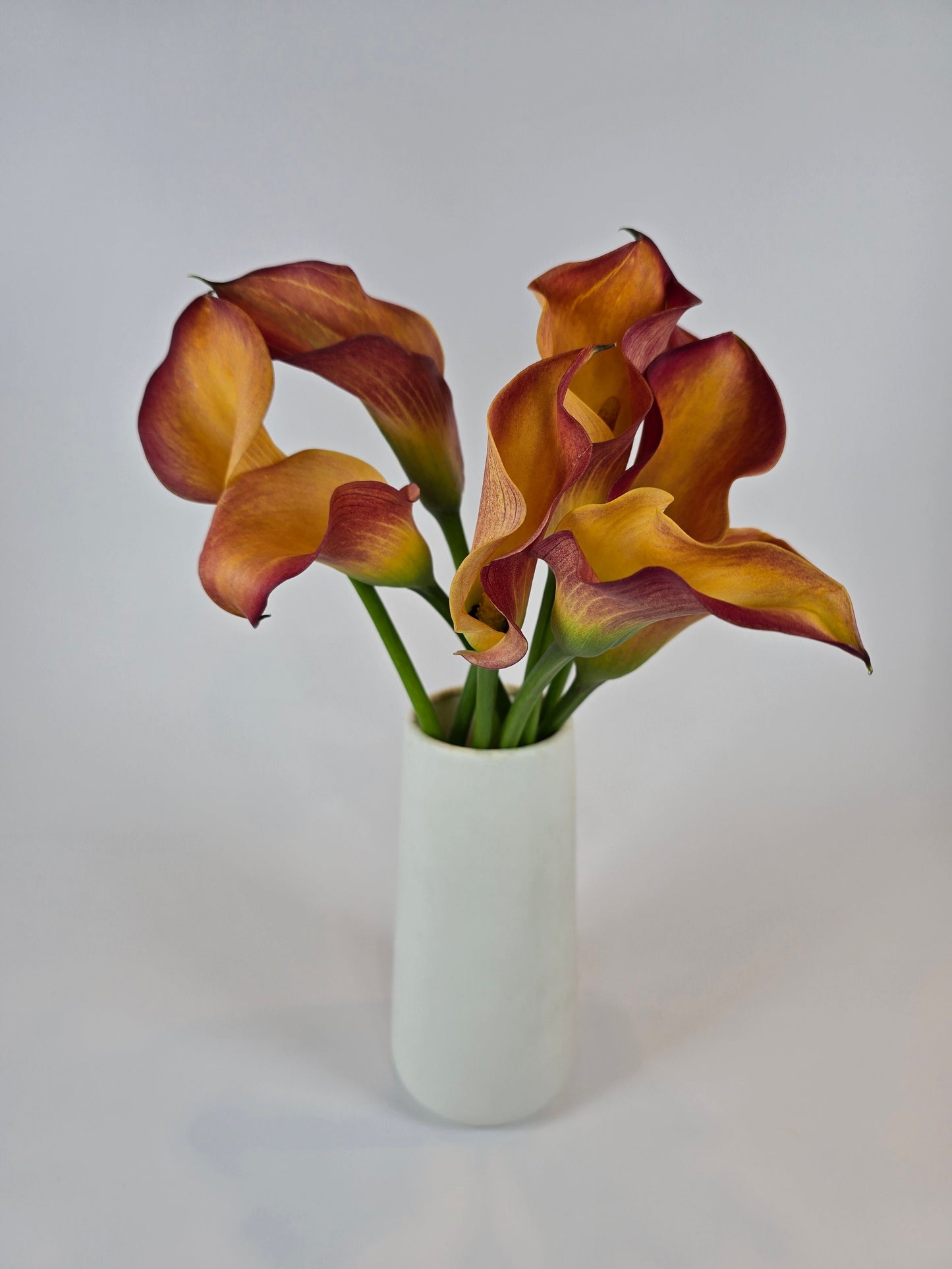 Orange Mini Calla Lily