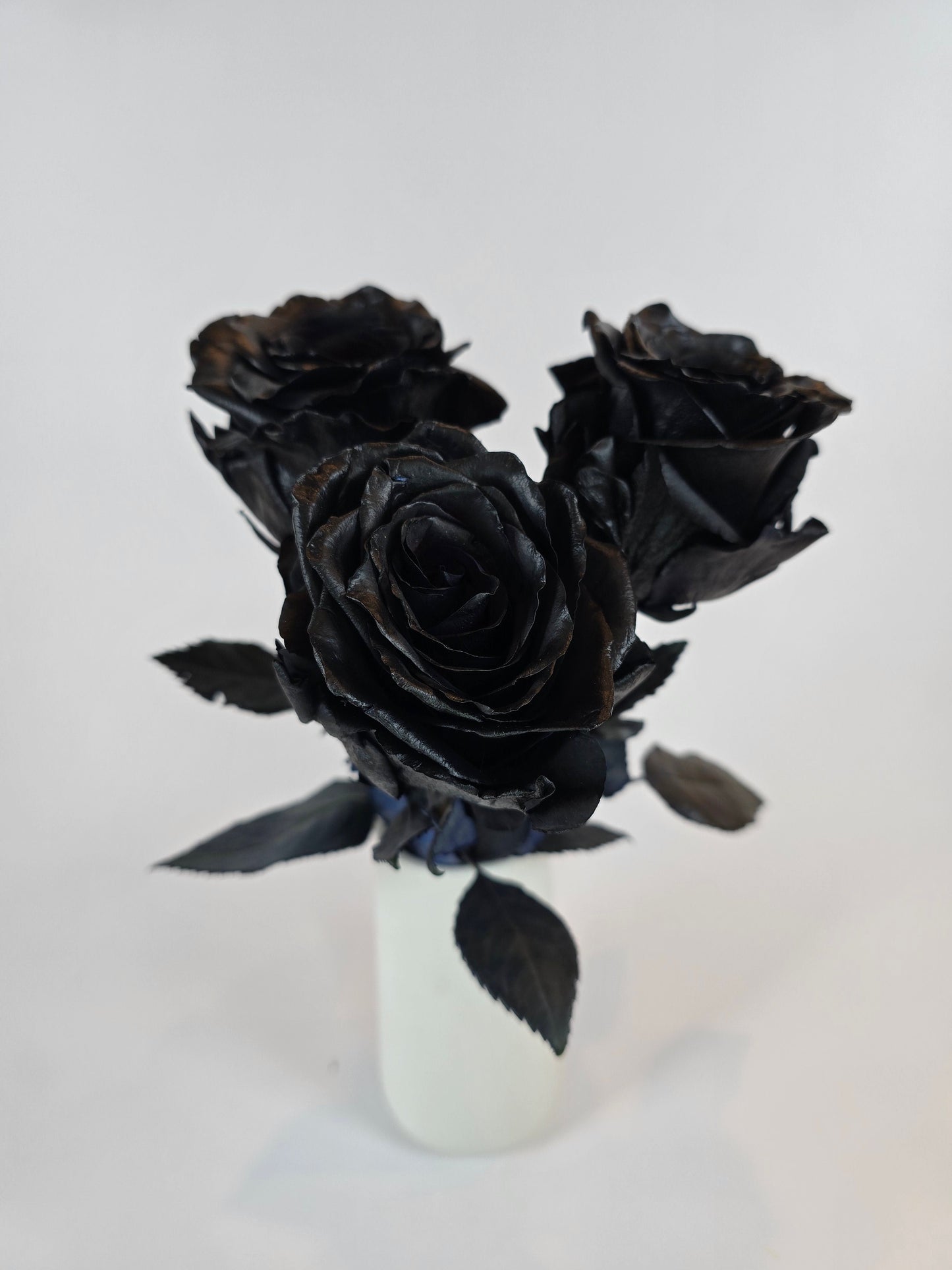 Black Tinted Rose