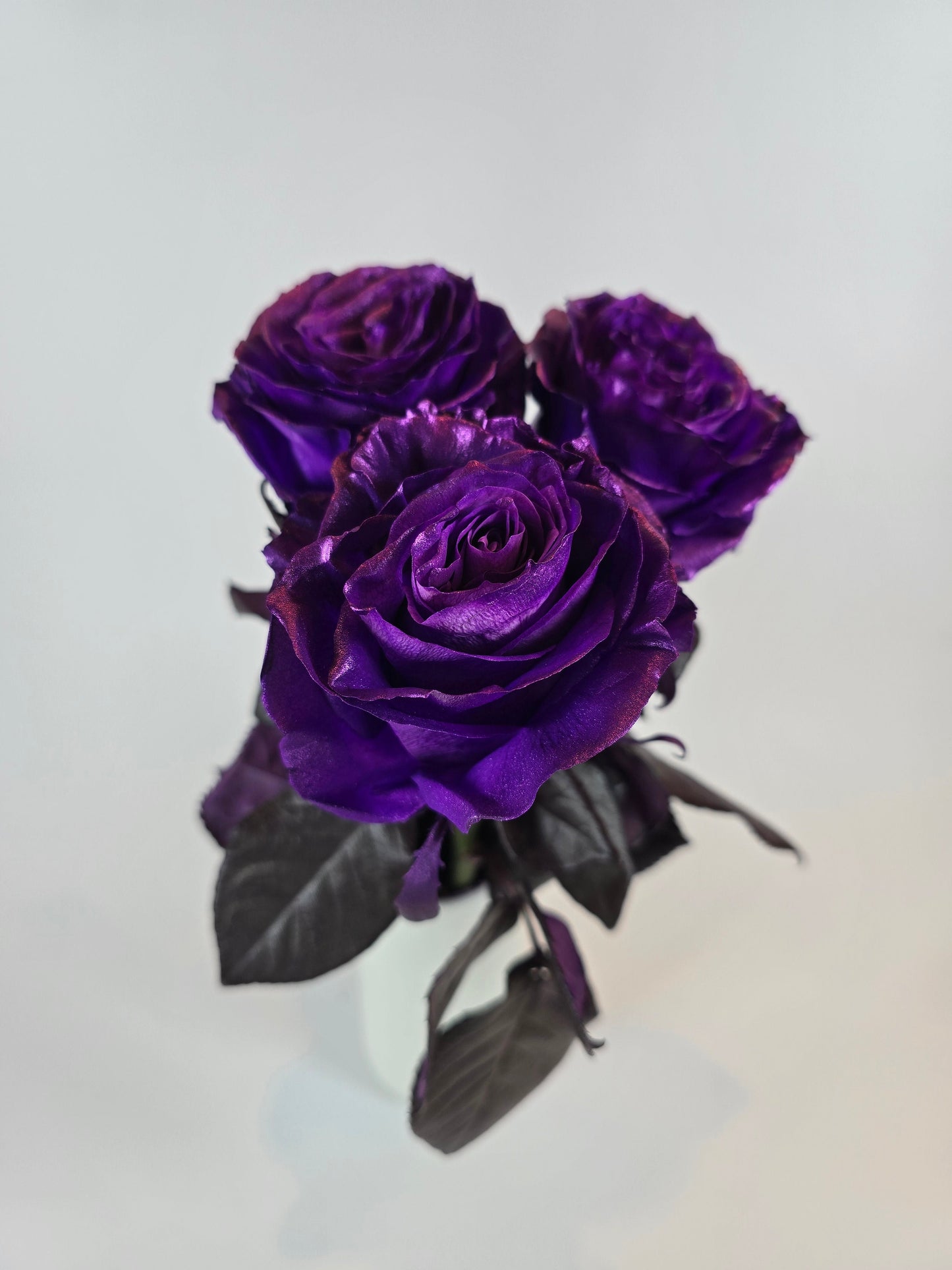 Purple Metallic Tinted Rose