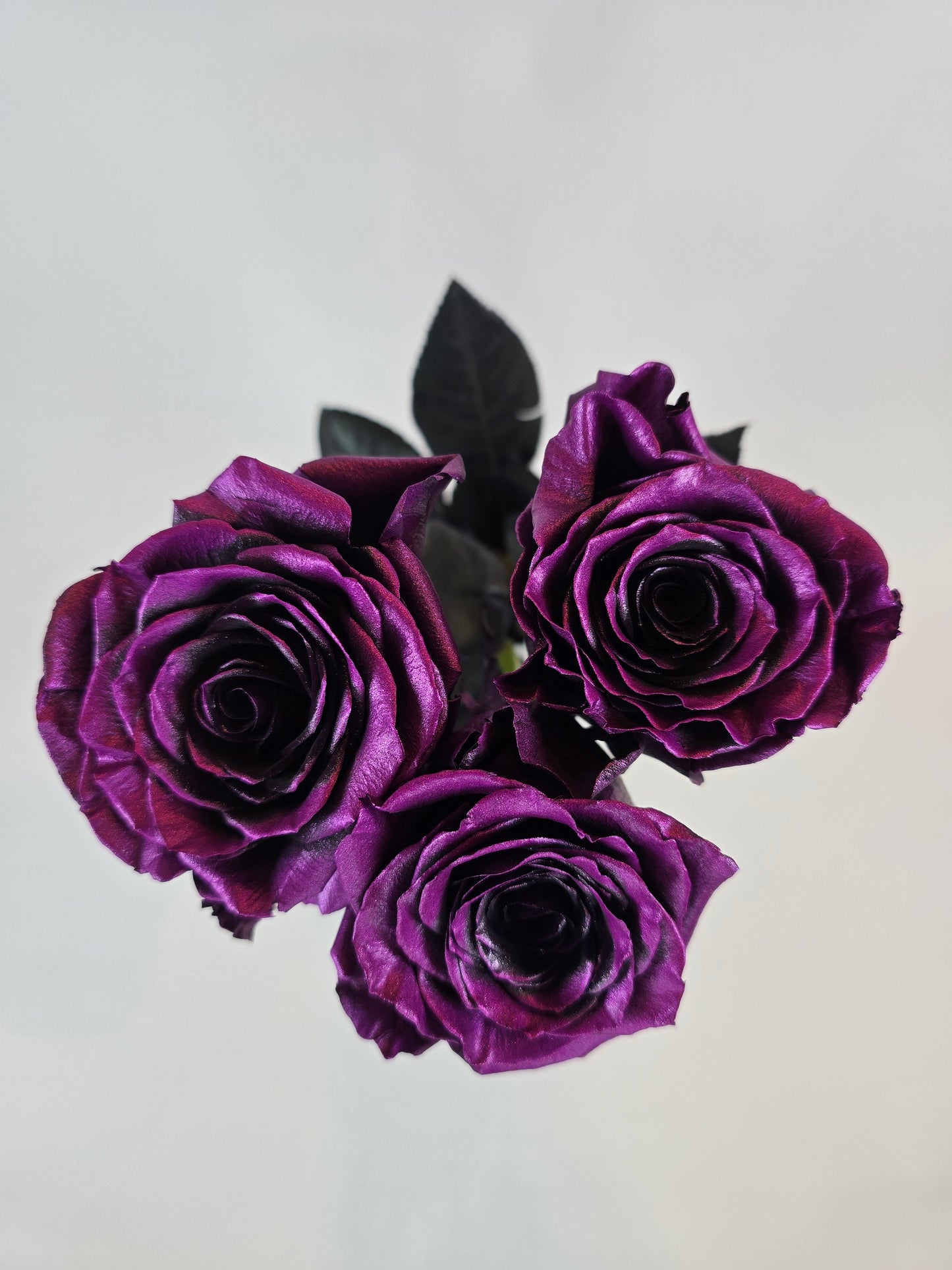 Mauve Metallic Tinted Rose