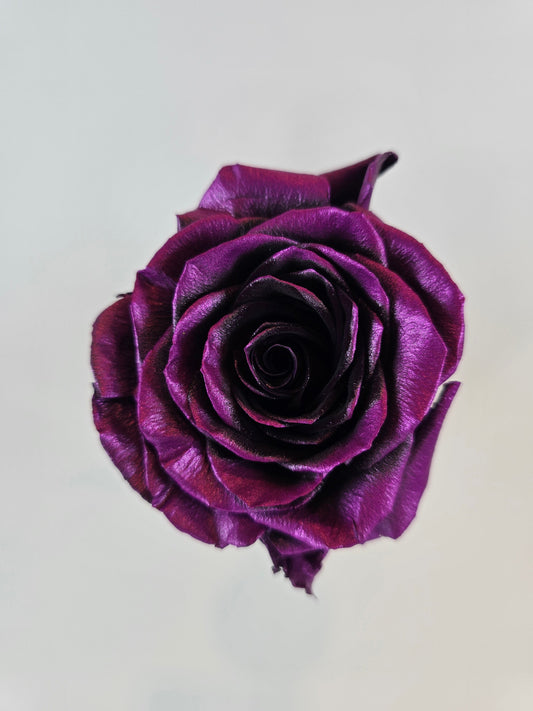 Mauve Metallic Tinted Rose