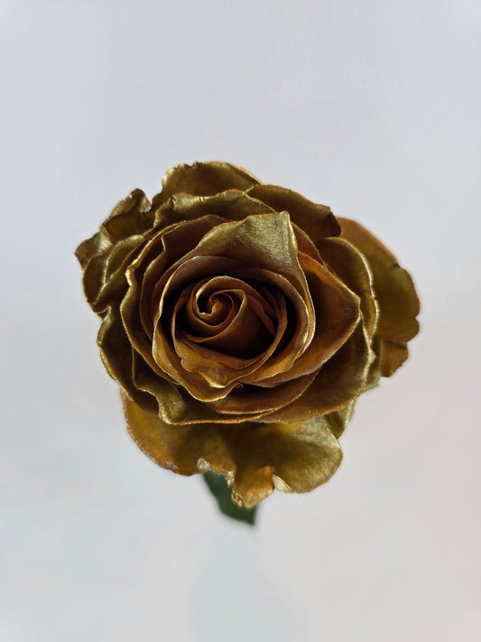 Gold Metallic Tinted Rose