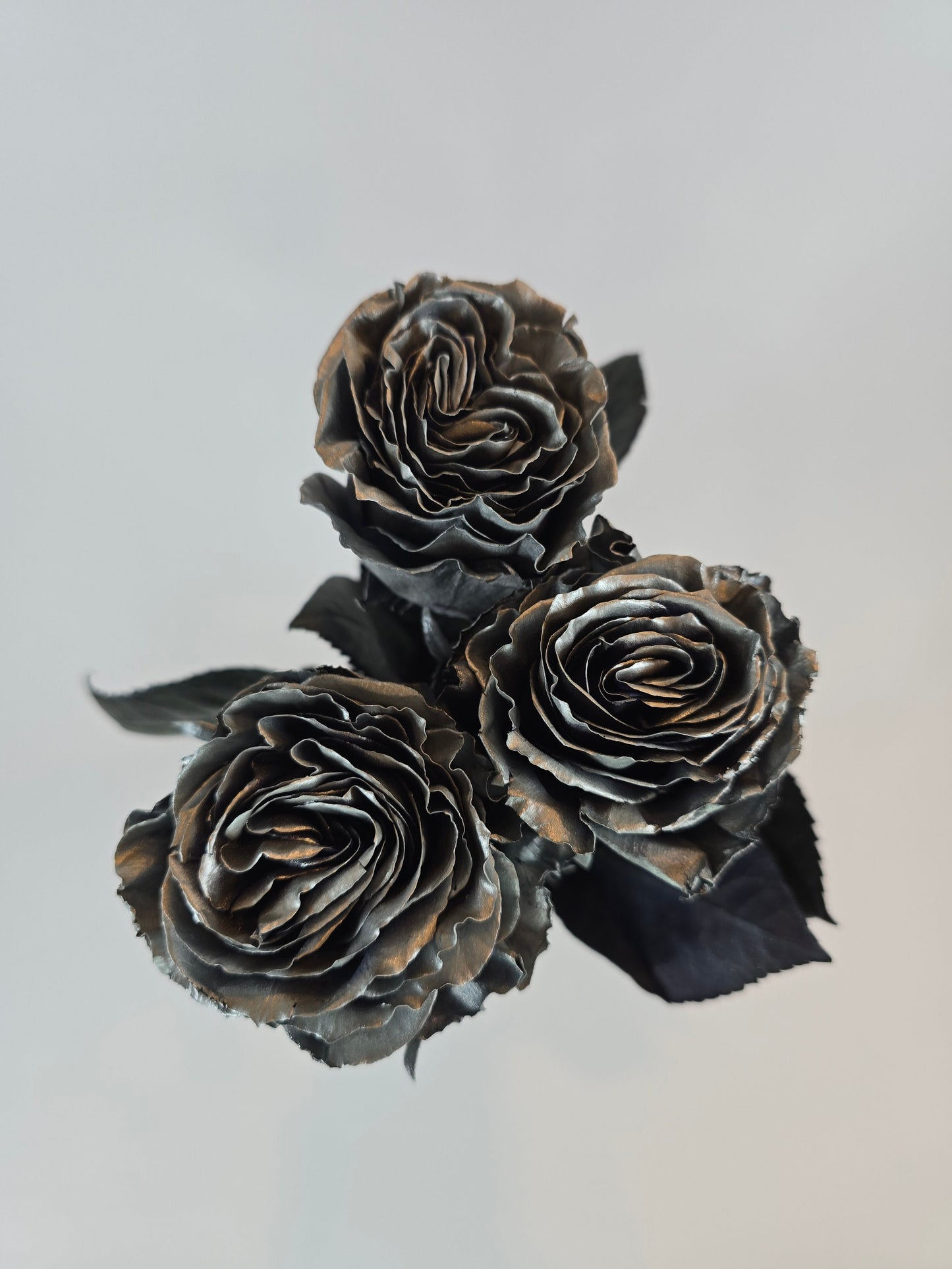 Silver Metallic Tinted Rose