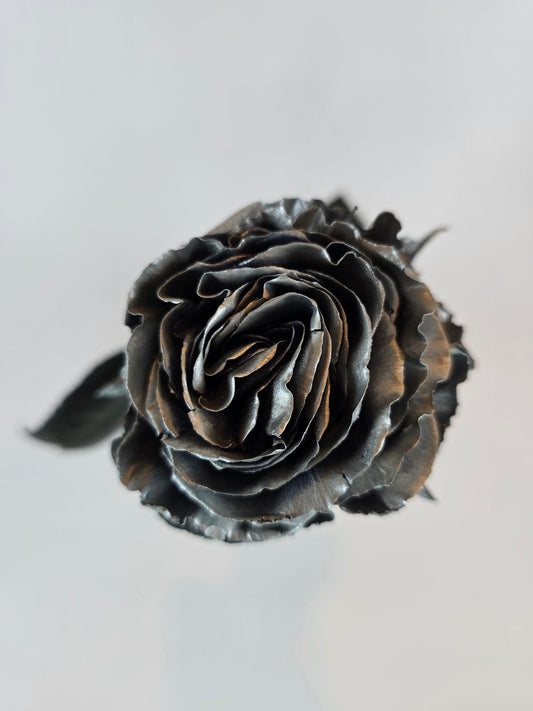 Silver Metallic Tinted Rose