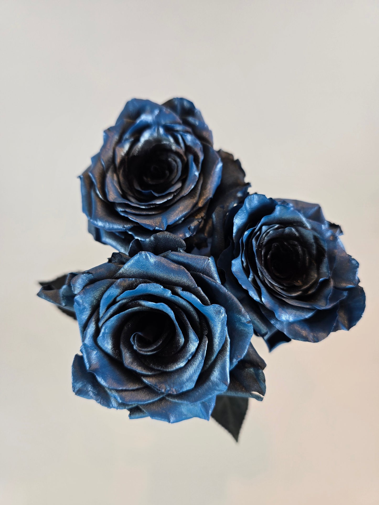 Blue and Black Metallic Tinted Rose