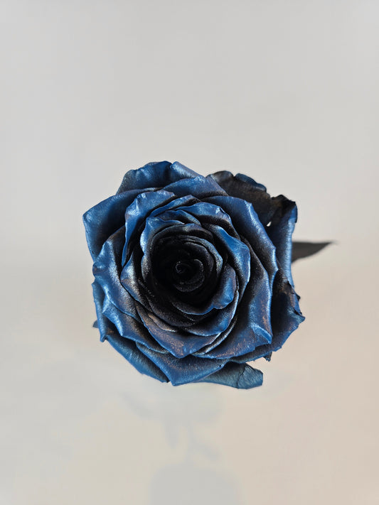 Blue and Black Metallic Tinted Rose