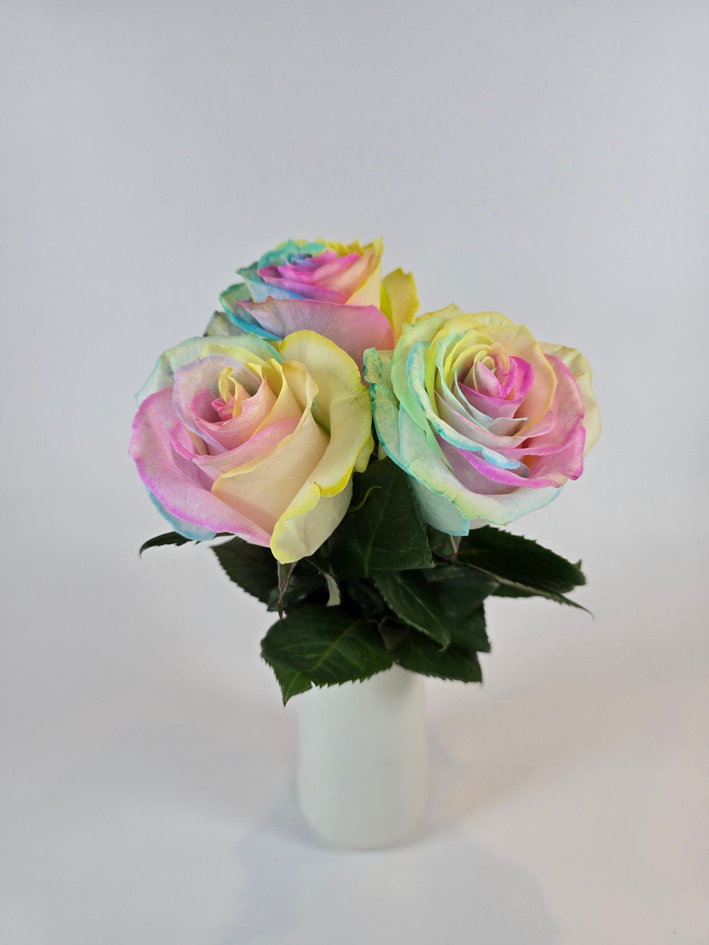 Neon Rainbow Tinted Rose