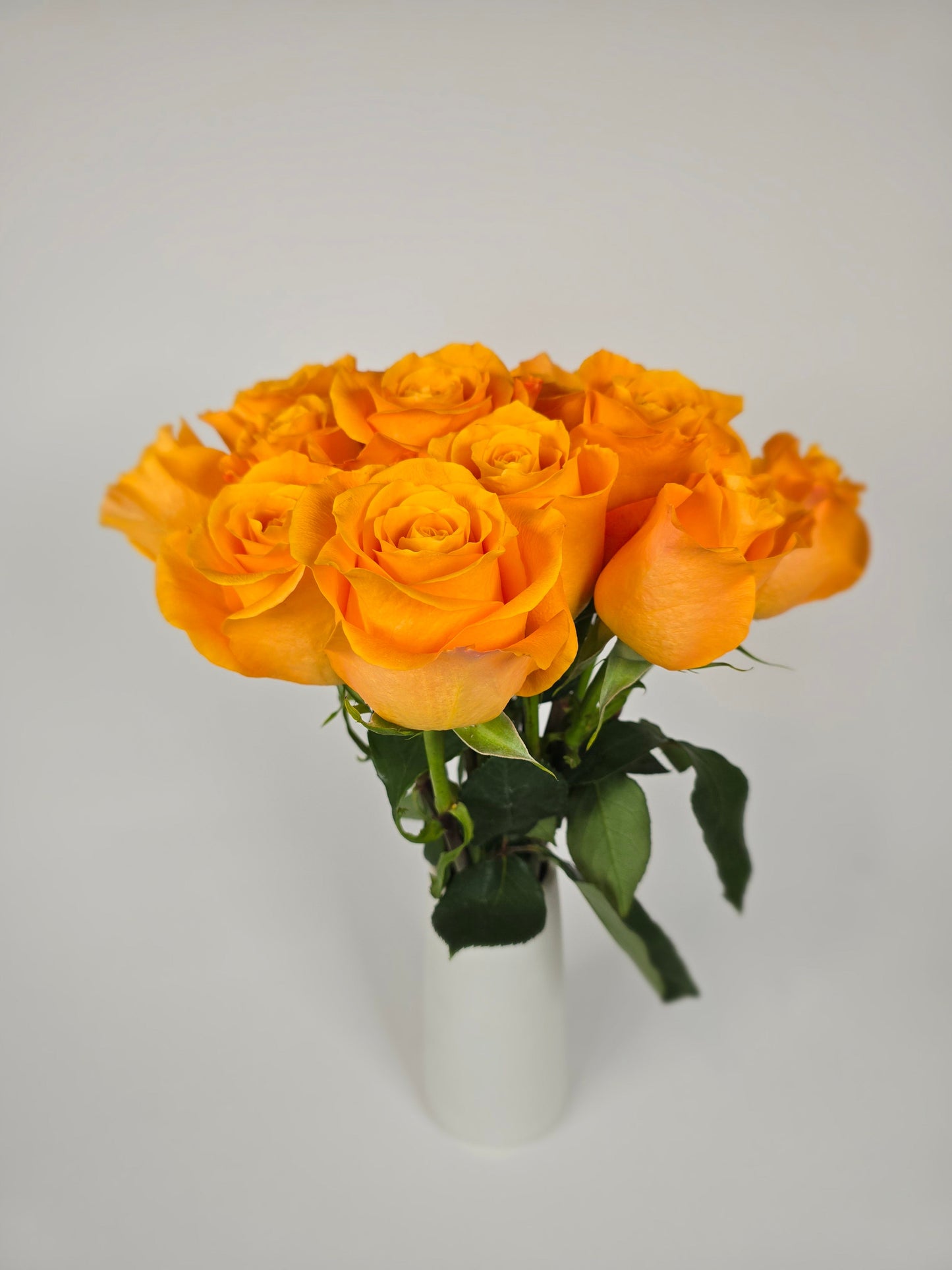 Aloha Orange Rose