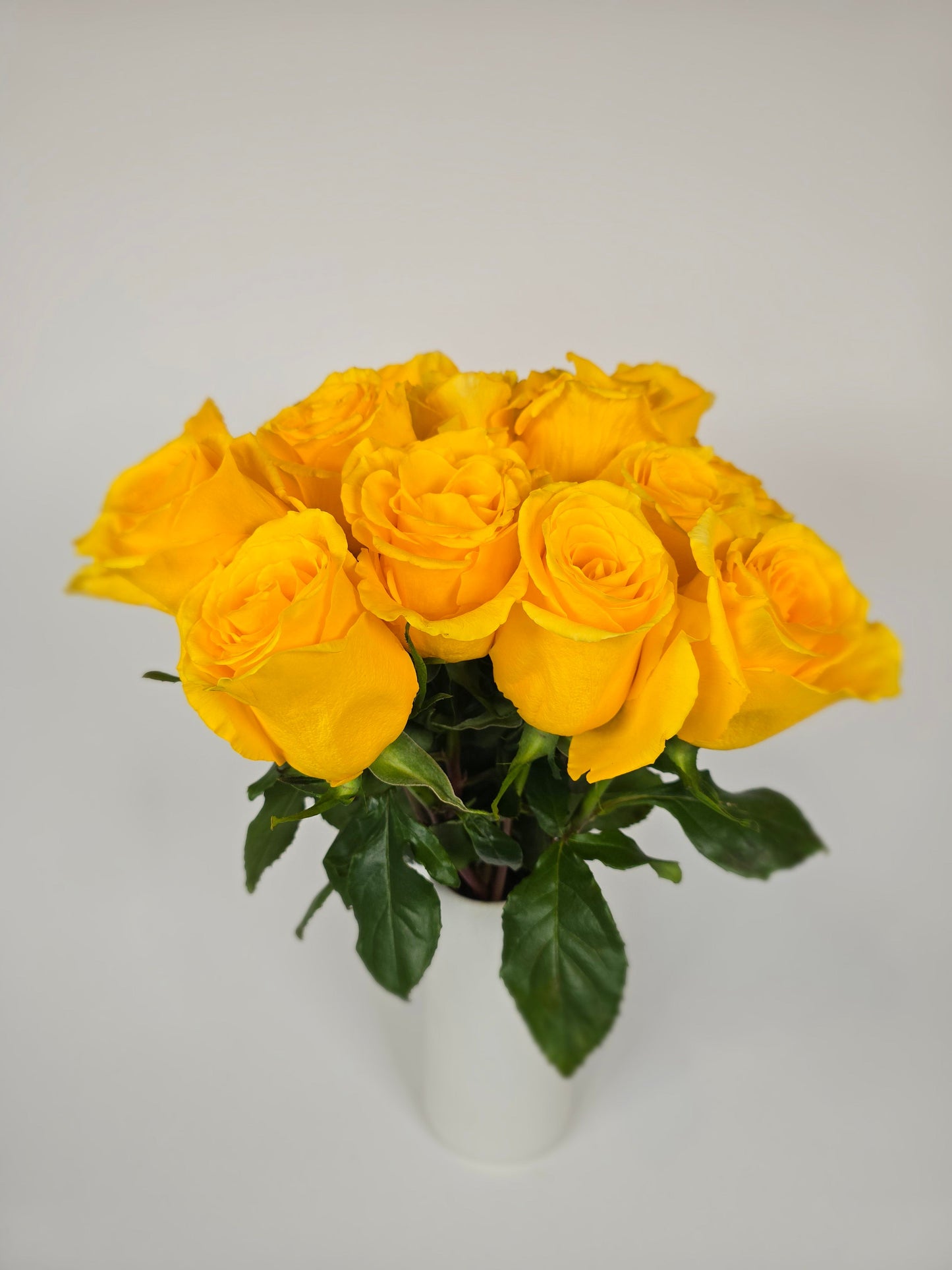 Golden Globe Yellow Rose