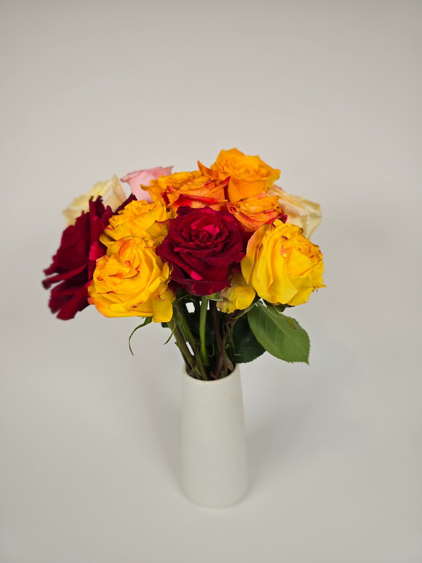 Mixed Color Roses