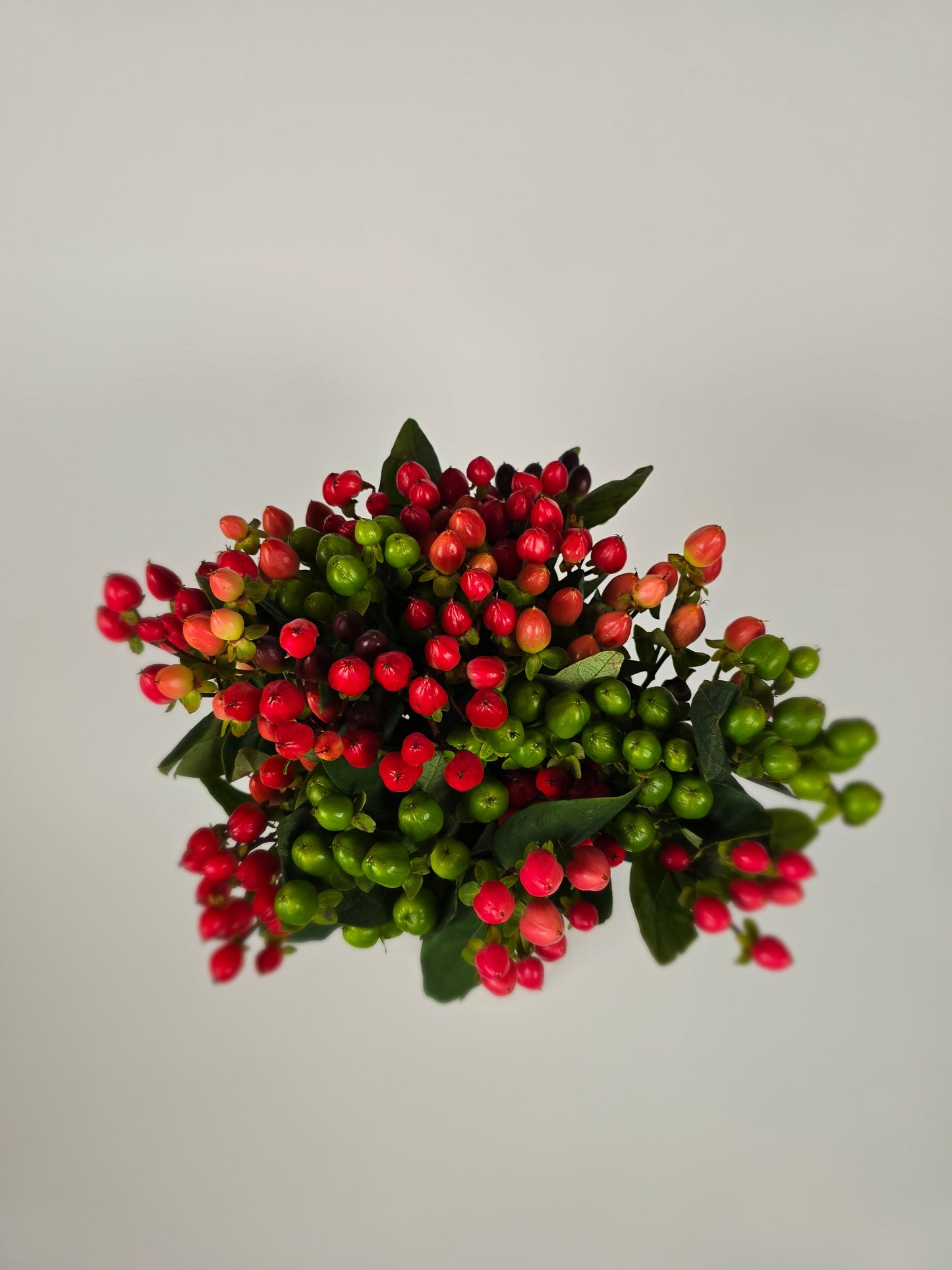 Mixed Color Hypericum Berries