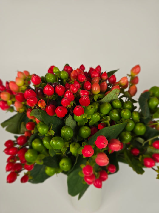 Mixed Color Hypericum Berries