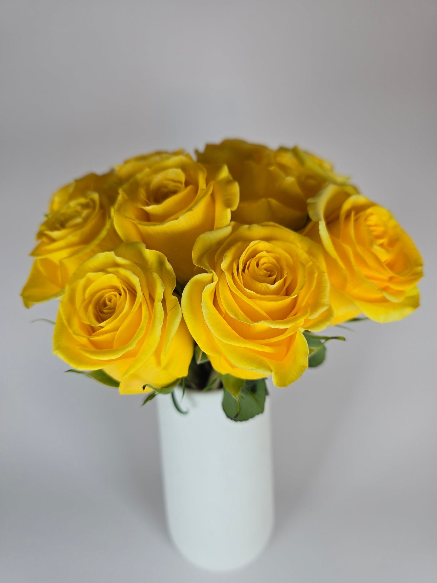 Yellow Rose Box