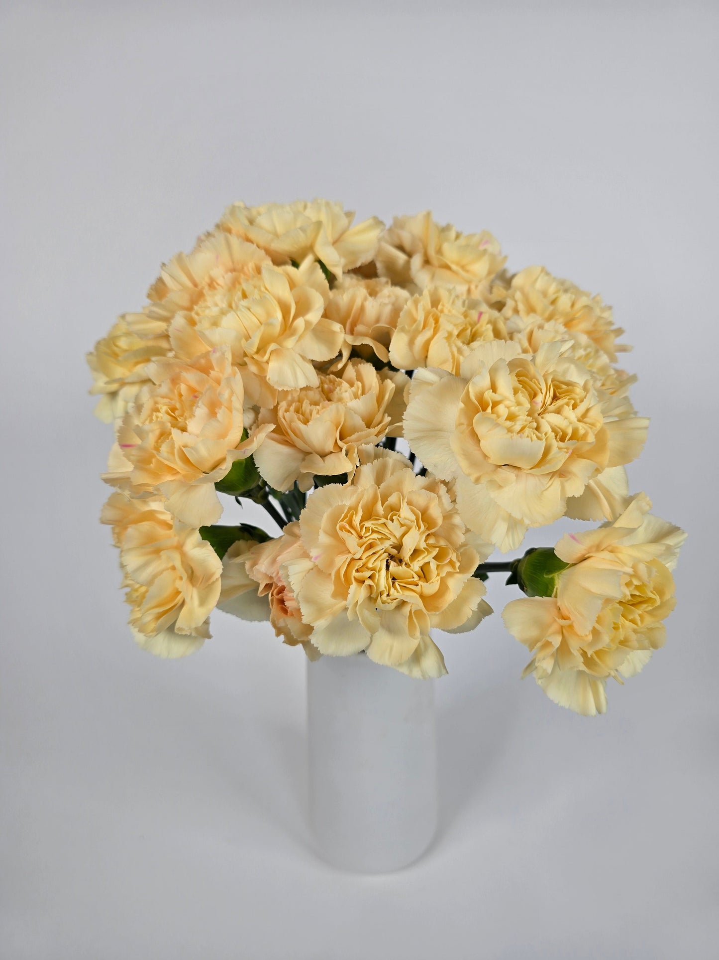 Peach Carnations