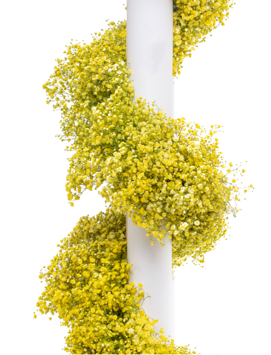 Yellow Tinted Baby's Breath Garland
