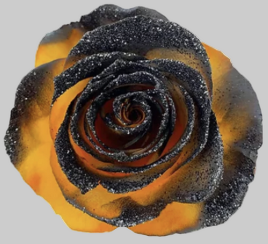 Haunted Spark Tinted Rose