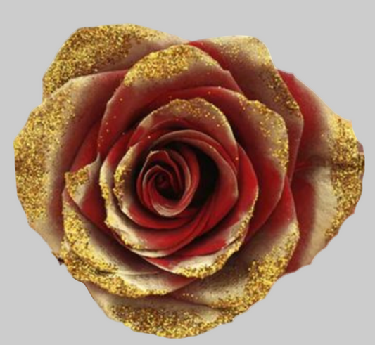 Santa’s Glitter Tinted Rose