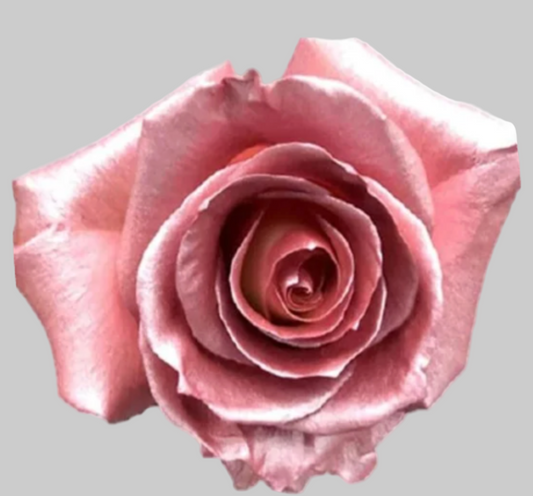 Soft Pink Metallic Tinted Roses