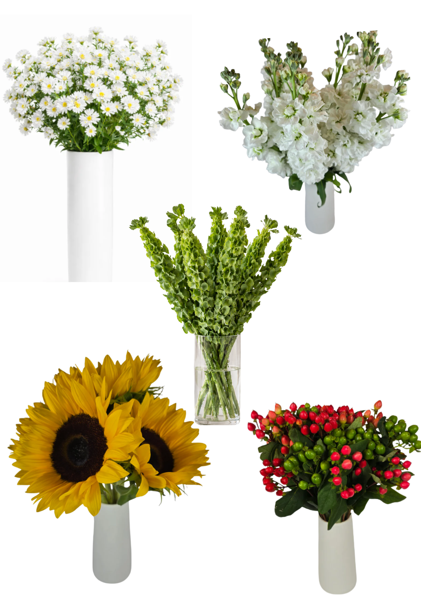 Make your own Flower Bar Combo box