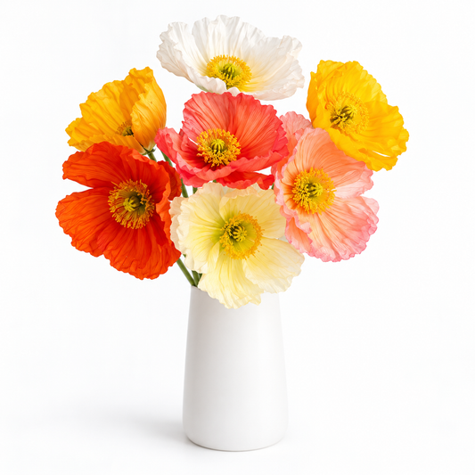 Assorted Poppies