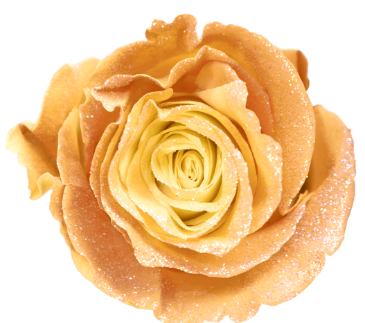 Amber Glow Glitter Tinted Roses