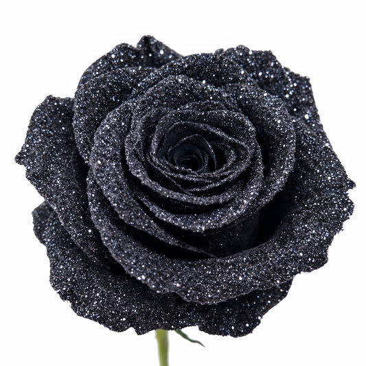 Black Glitter Noir Fresh Cut Tinted Roses