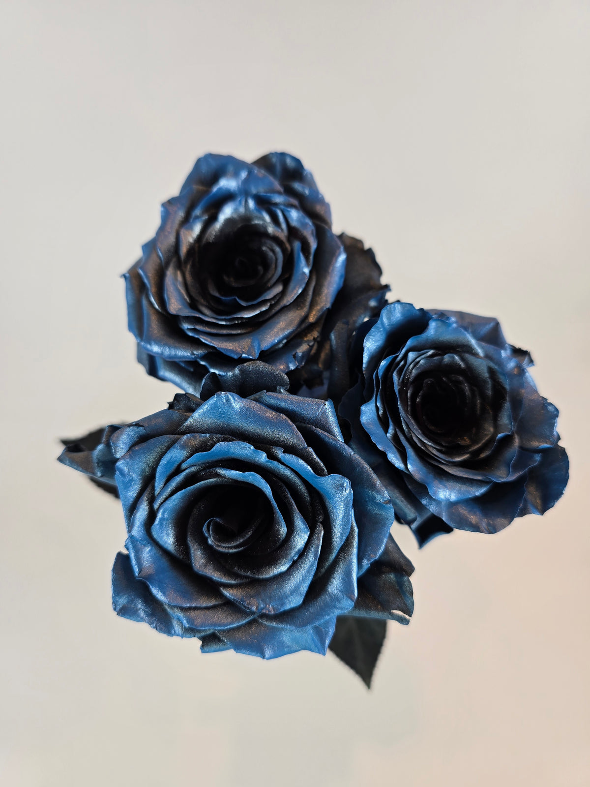 Blue T Intend Roses Blue and Black Metallic Tinted Rose – The Flower Hype