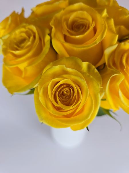 Yellow – The Flower Hype