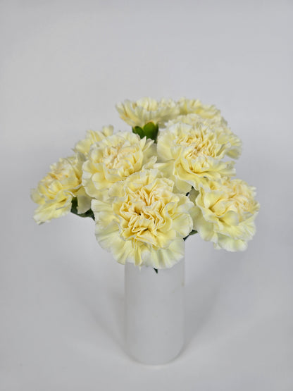 Buttery Yellow Carnations