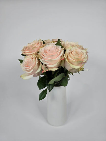 Champagner Blush Roses