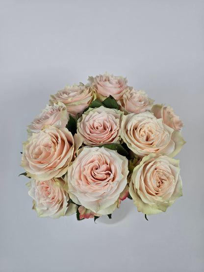 Champagner Blush Roses