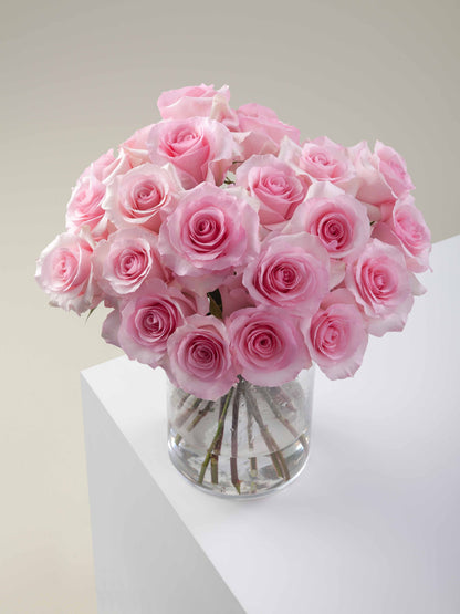 Christa Light Pink Rose