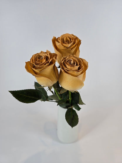 Coffee Tinted Rose