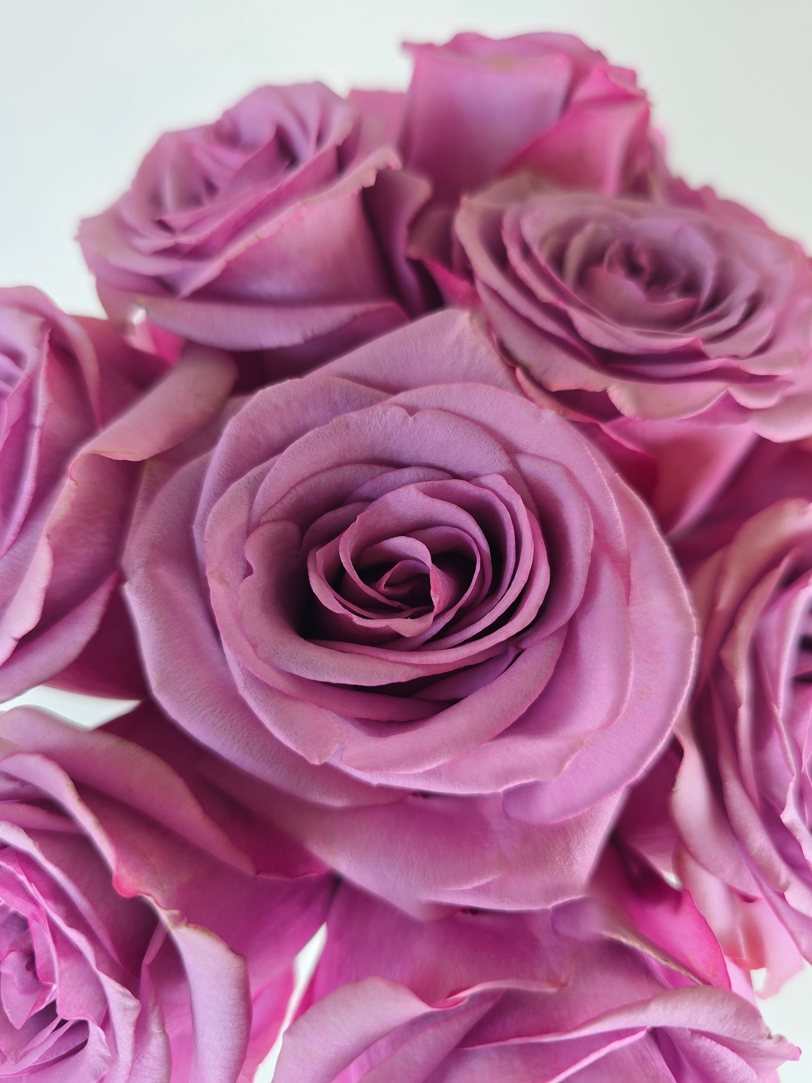 Lavender rose bouquet design