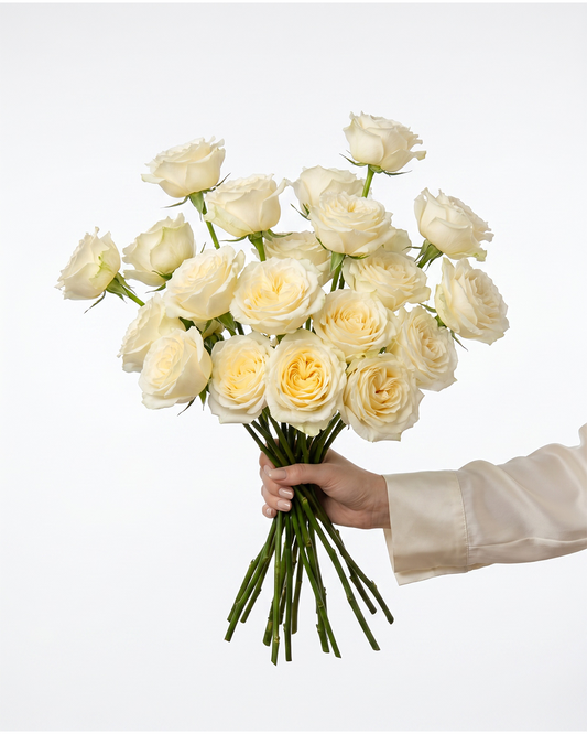 Cream Enigma Garden Rose