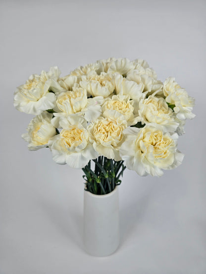 Creamy Vanilla Carnations