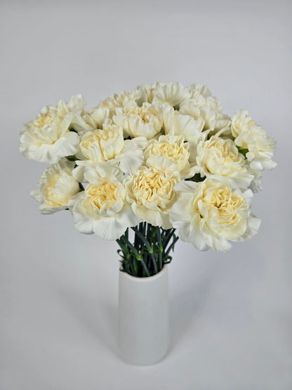 Creamy Vanilla Carnations