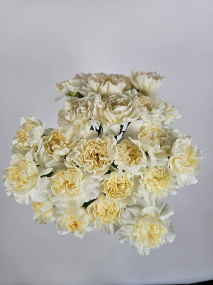 Creamy Vanilla Carnations