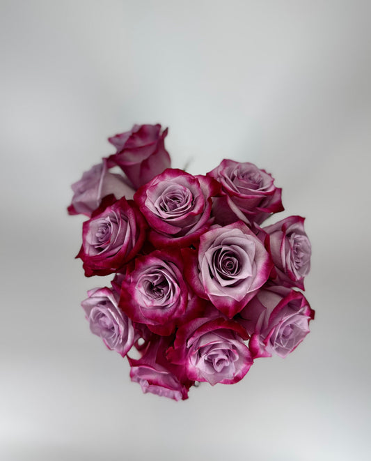 Deep Purple Lavender Rose