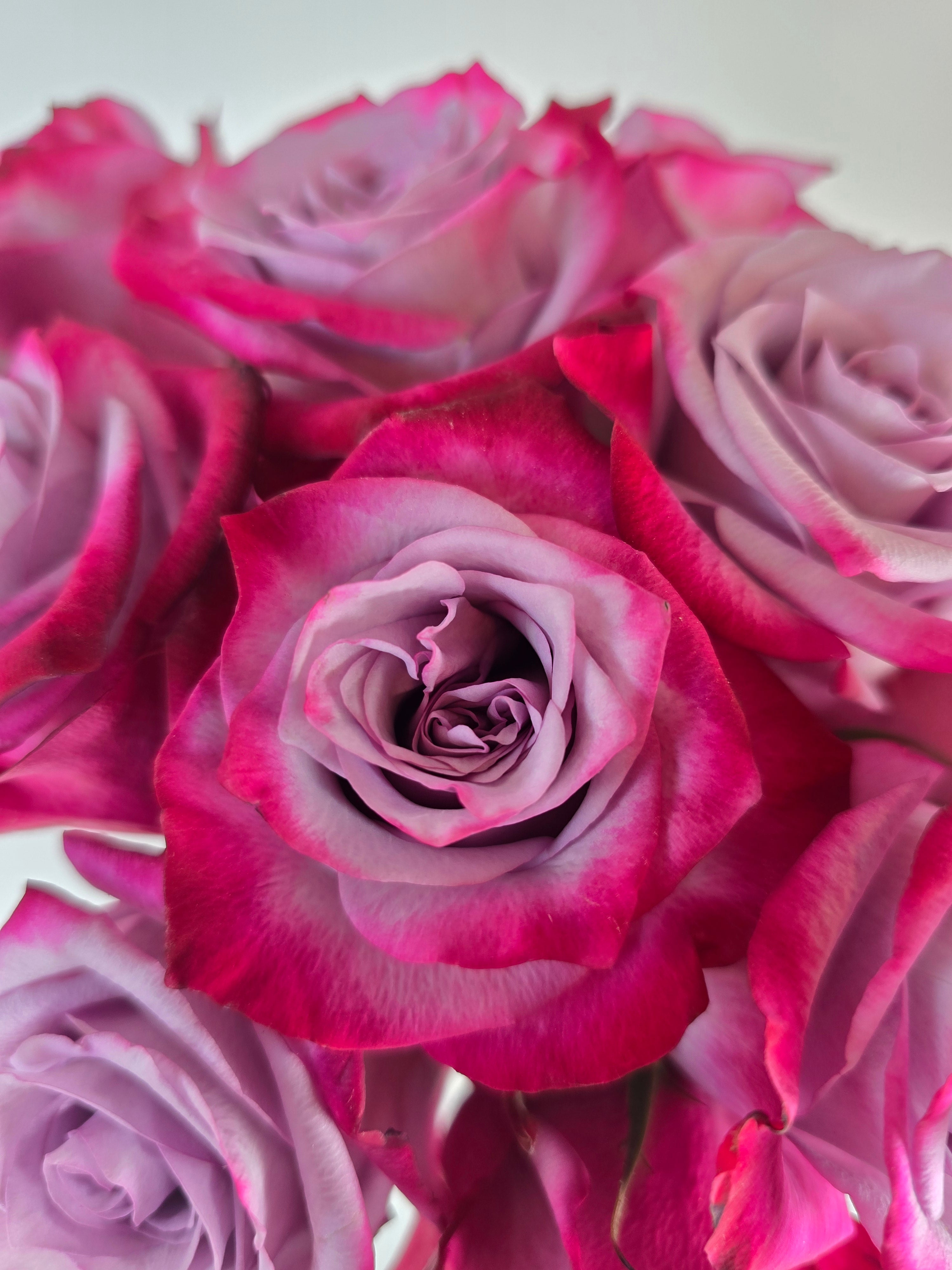 Deep Prple Roses Deep Purple Lavender Rose – The Flower Hype
