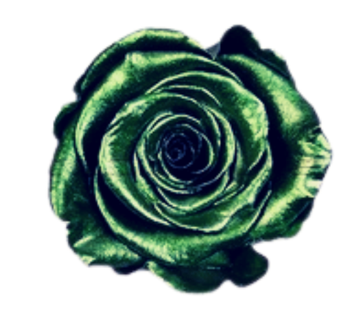 Emerald Metallic Tinted Roses