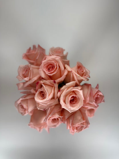 Engagement Light Pink Rose