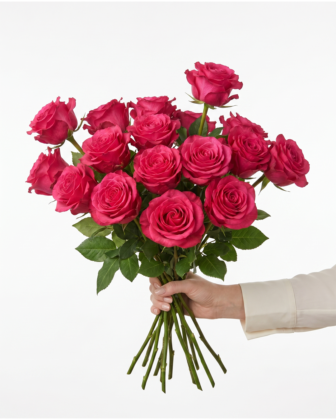 Exotic Berry Hot Pink Rose