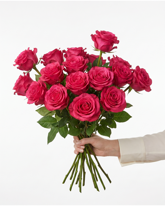 Exotic Berry Hot Pink Rose
