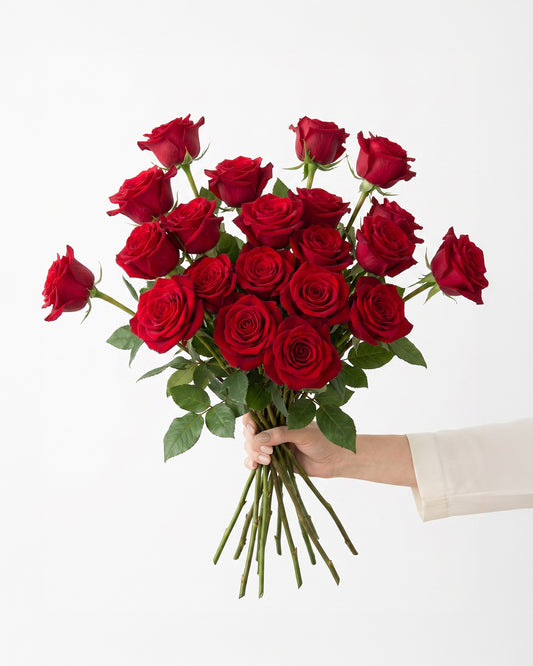 Freedom Red Rose